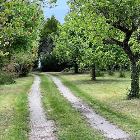 Les Jardins De L'Hermitage Cellettes  Exteriör bild