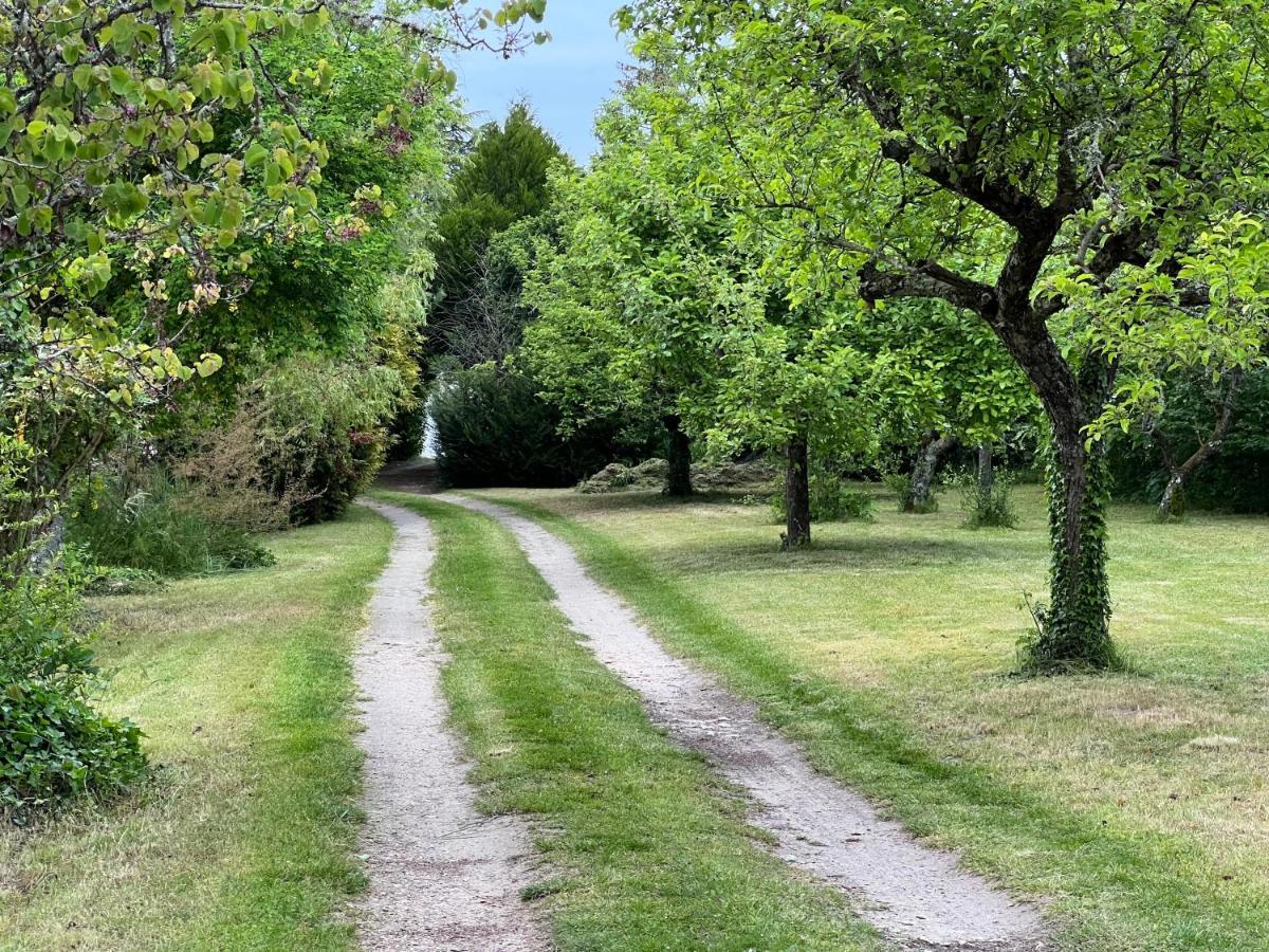 Les Jardins De L'Hermitage Cellettes  Exteriör bild