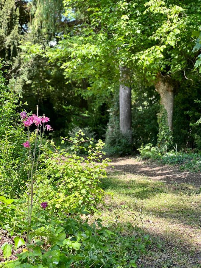 Les Jardins De L'Hermitage Cellettes  Exteriör bild